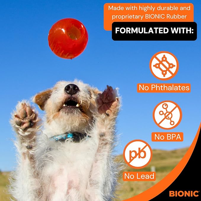 BIONIC Ball Dog Toy, Small - Interactive Dog Chew Toy That Stands Up to The Toughest Chewers, for Dogs up to 20 lbs. (9 kg) 5.8cm