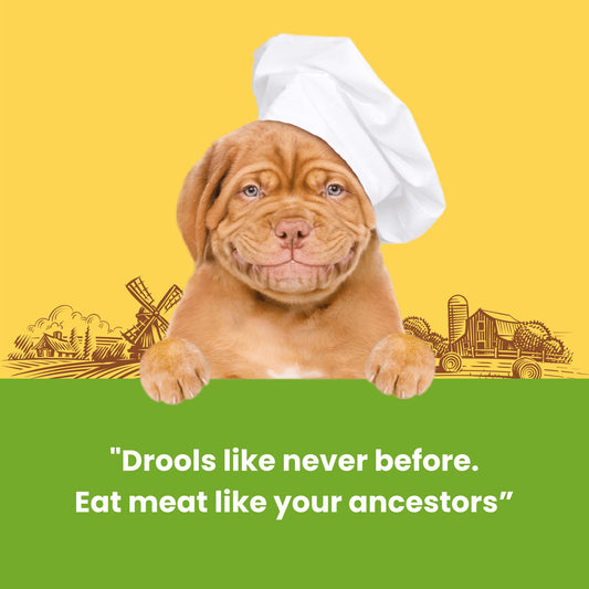 Dogfest Chicken tenders