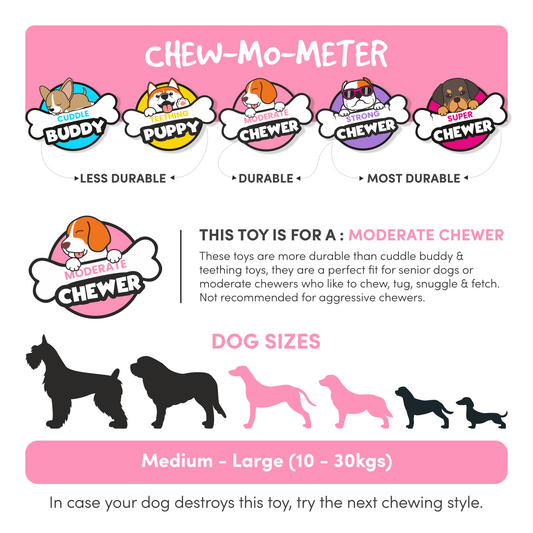 BarkButler x Fofos Dog Trust Vegi-Bites Squeaky Dog Toy, Purple(L)|Medium-Large Dogs(10-30kg)|Good for Teeth&Gums|Floats on Water|Soft Foam&Durable TPR Mix|for All Breeds|Play, Fetch, Chew (Carrot)