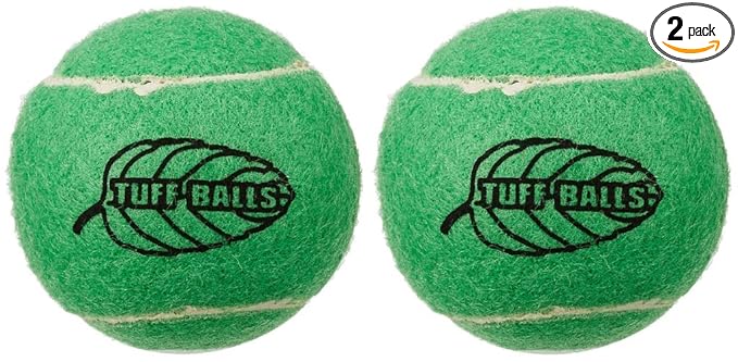 PetSport:- Jr. Mint Tuff Ball Toy for Dogs, 1.8" | Ball Toys for Dogs, Ideal for Aggressive Chewers (2-Pack)