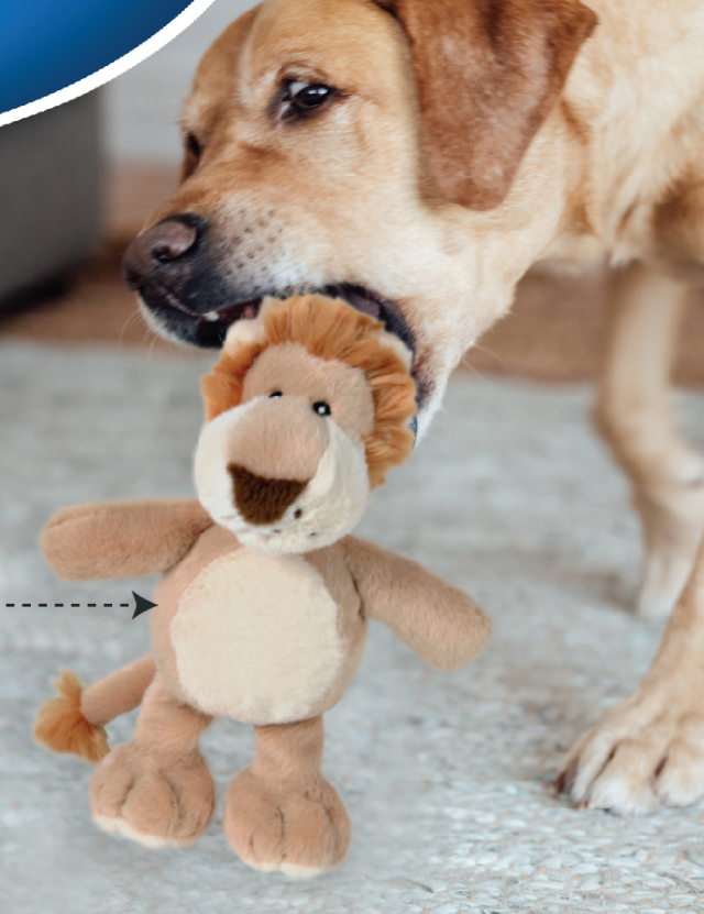 TRIXIE Lion Plush Toy for Dogs, Soft & Durable with Squeaker, Fun Indoor & Outdoor Play, 22cm Polyester Cuddly Toy